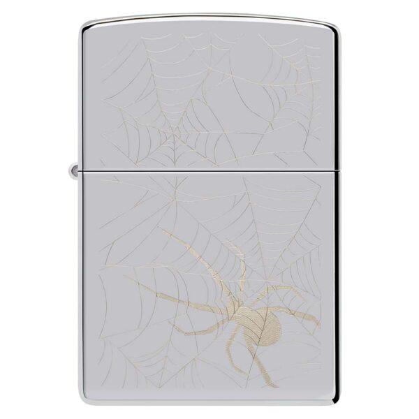 Spider Web Design - Imagen 2