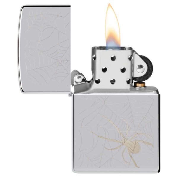 Spider Web Design - Imagen 3