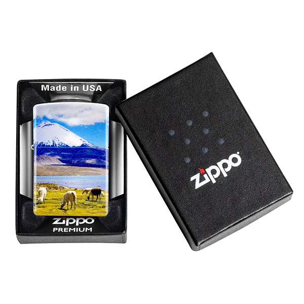 Alpaca design - Imagen 6