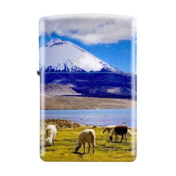 Alpaca design - Imagen 2