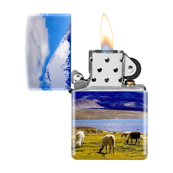 Alpaca design - Imagen 3