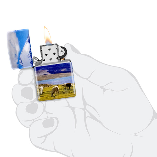 Alpaca design - Imagen 5